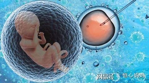 陈鎏主任